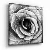 Rose Glass Wall Art.